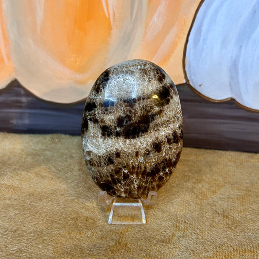 Chocolate Calcite Palm Stone