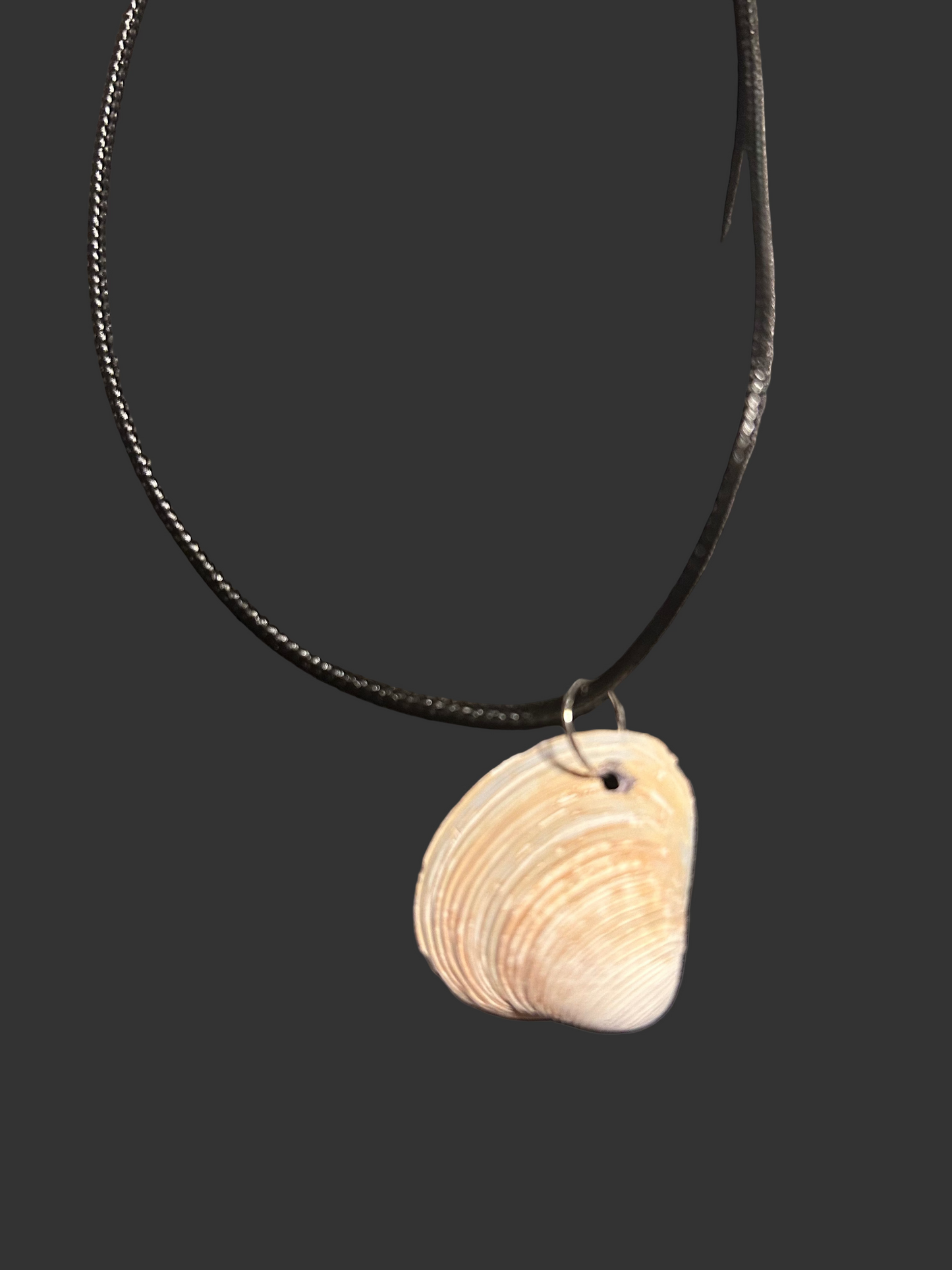 Sea Shell Necklace