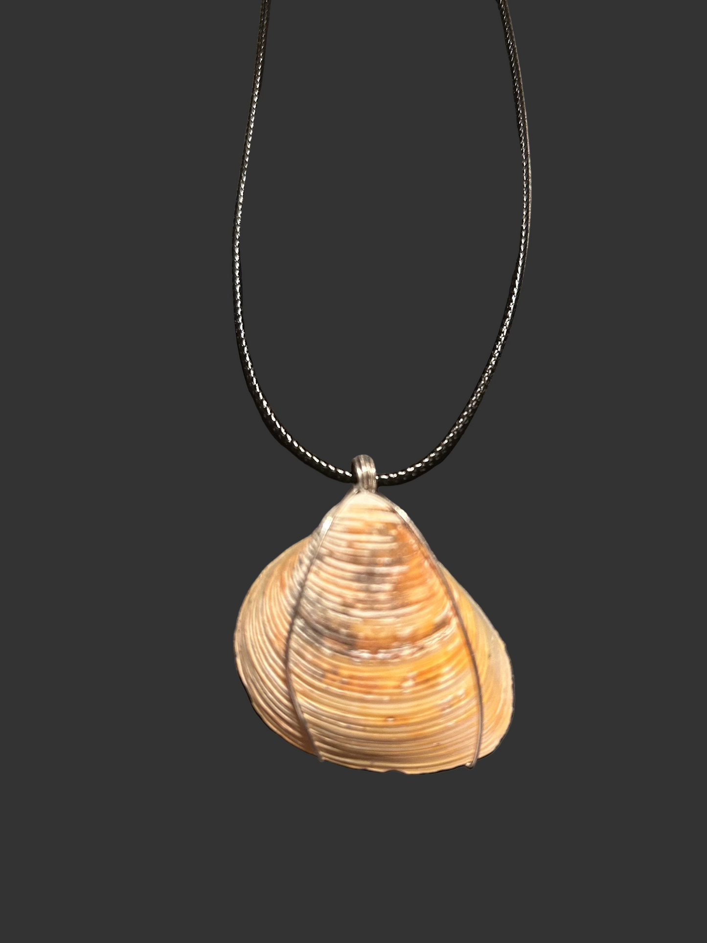 Shell pendant on a black cord against a dark background