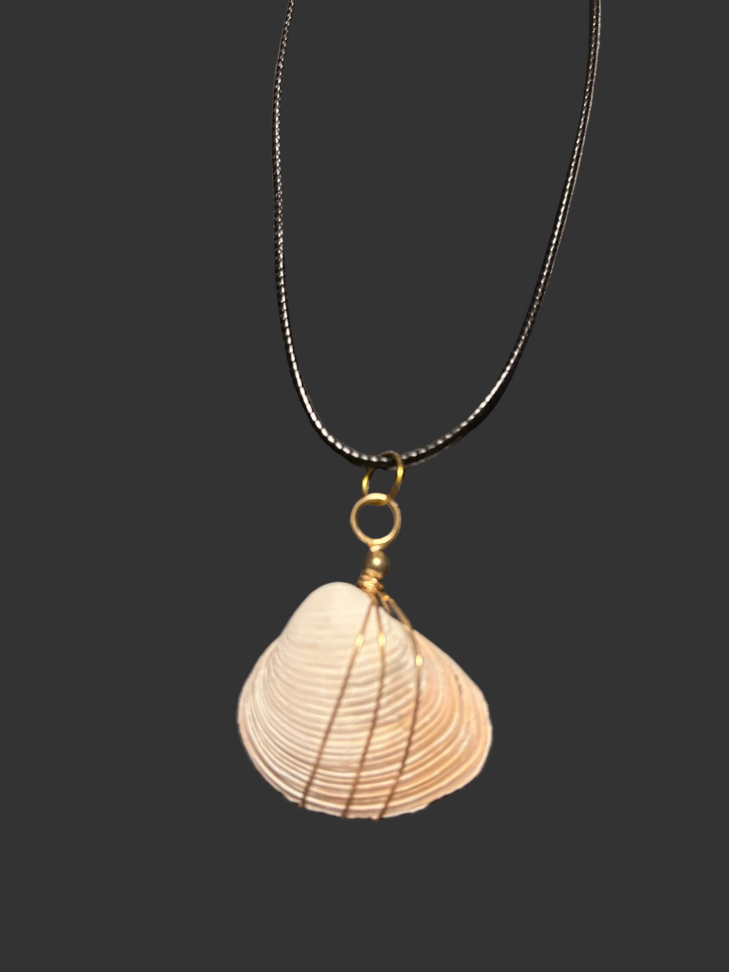 Sea Shell Necklace