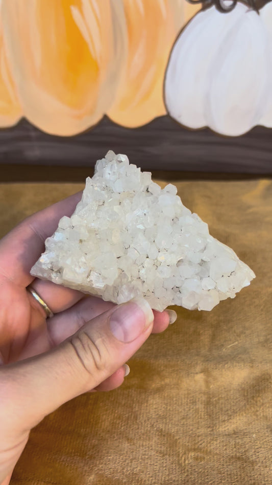 Quartz Cluster: 7 oz Clear Quartz Cluster (Cleansing + Renewal)